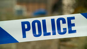 Орон сууцны гадна явж байсан иргэн нохойд хазуулж, хуруугаа таслуулсан байна