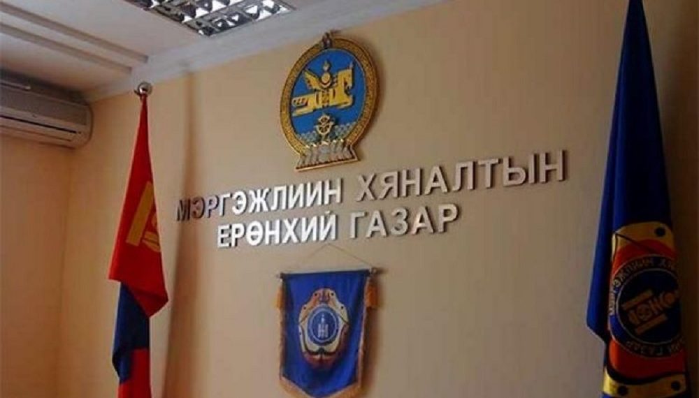 Мэргэжлийн хяналтын байгууллагын үйл ажиллагааг дахин сэргээнэ гэв