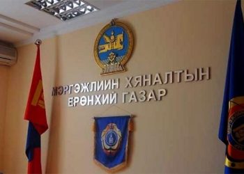 Мэргэжлийн хяналтын байгууллагын үйл ажиллагааг дахин сэргээнэ гэв