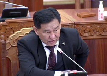 ДӨРГҮЙ БУХ ШИГ Ц.ДАВААСҮРЭН…