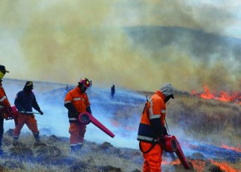 Сэлэнгэ, Ховд, Сүхбаатар аймагт гарсан ой хээрийн түймрийг унтраахаар ажиллаж байна